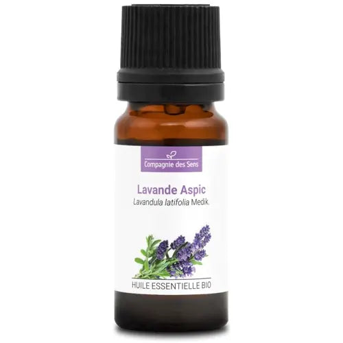 Organic Essential Oil - Spike Lavender