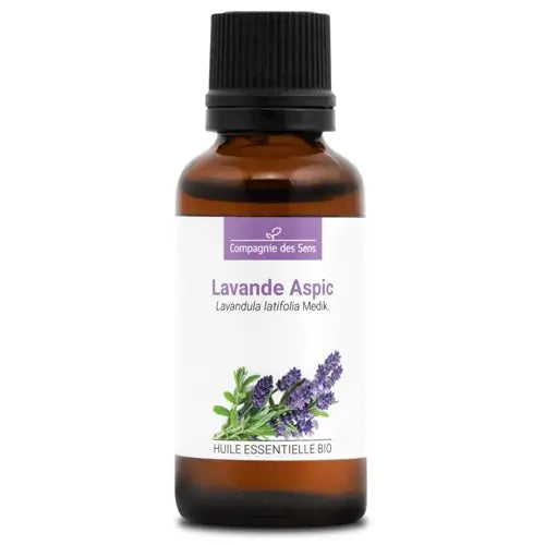 Organic Essential Oil - Spike Lavender