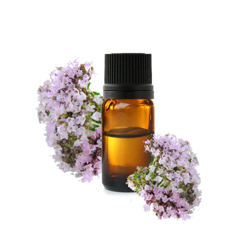Organic Origanum majorana essential oil for diffusion, massage and food use, with a warm green, spicy and woody scent | LaPeNu