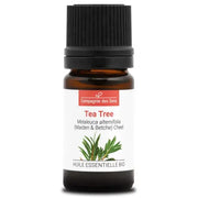 Organic Essential Oil - Tea Tree