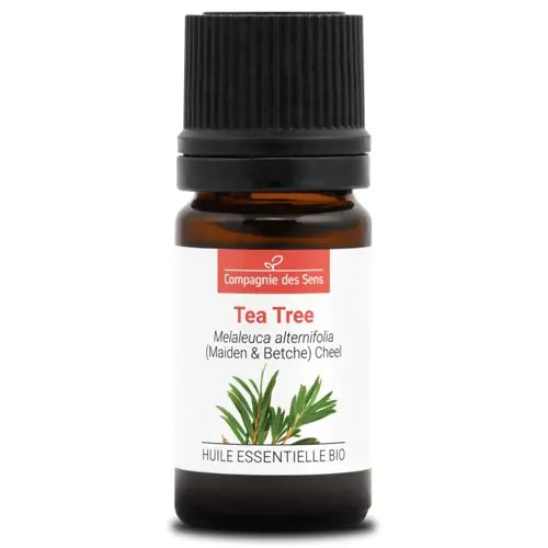 Organic Essential Oil - Tea Tree