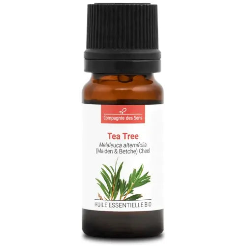 Organic Essential Oil - Tea Tree