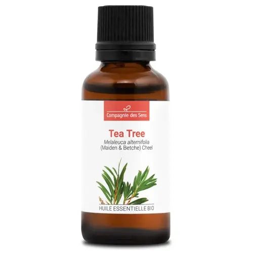 Organic Essential Oil - Tea Tree