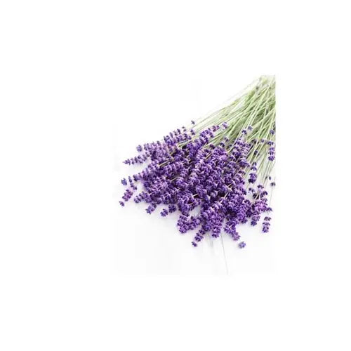 Organic Essential Oil - True Lavender
