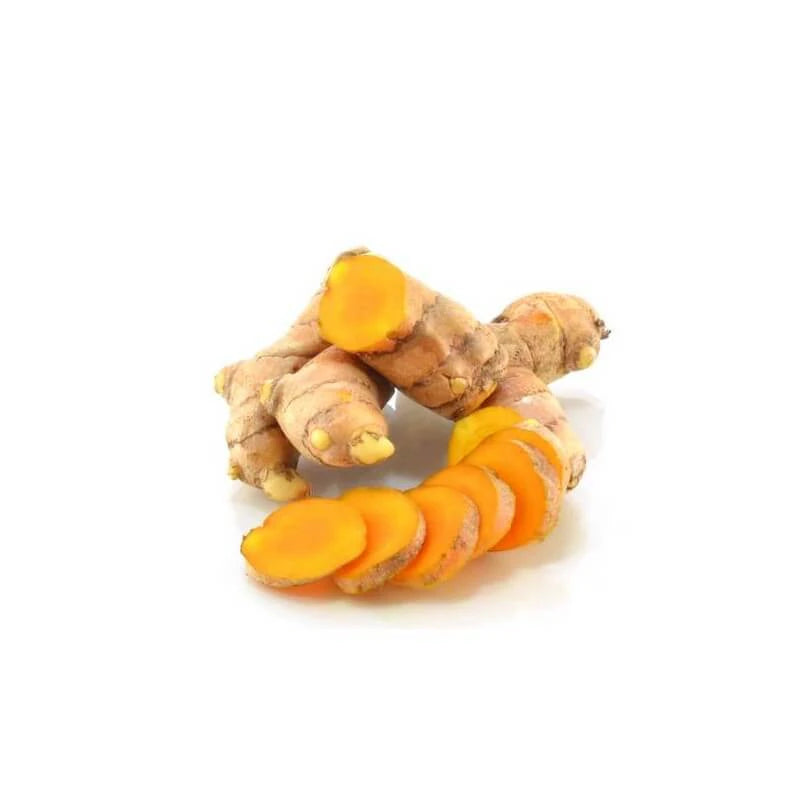Turmeric rhizomes (Curcuma longa) – source plant for organic essential oil with antioxidant and anti-inflammatory turmerone-rich profile | LaPeNu