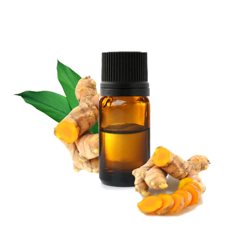 Organic Turmeric essential oil – anti-inflammatory, antioxidant, skin-brightening. Steam-distilled from Curcuma longa rhizomes | LaPeNu