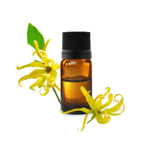Organic Ylang Ylang Complete EO with Cananga odorata flowers – anxiolytic & antispasmodic | LaPeNu