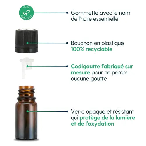 Organic Essential Oil - Eucalyptus Radiata