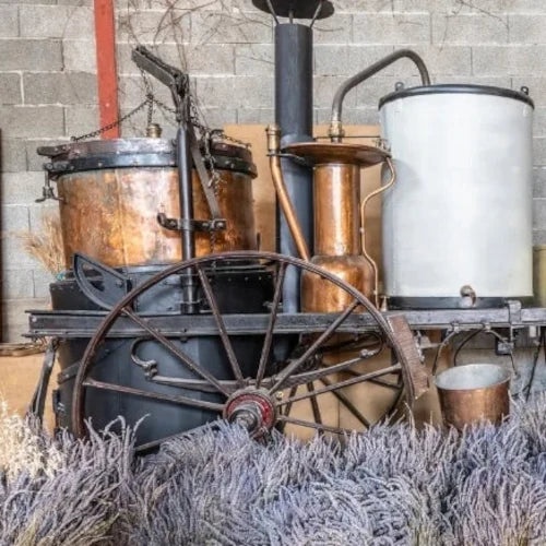 Organic Essential Oil - Fine Lavender
