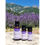 Organic Essential Oil - Clary Sage