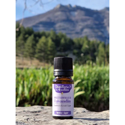 Organic Essential Oil - Lavandin Super