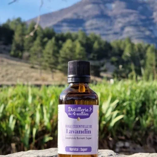 Organic Essential Oil - Lavandin Super