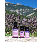 Organic Essential Oil - Rose Geranium