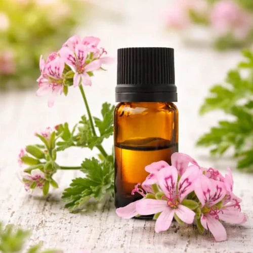 Organic Essential Oil - Rose Geranium