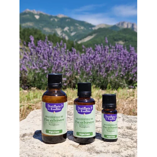 Organic Essential Oil - Scots Pine