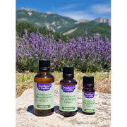 Organic Essential Oil - Scots Pine