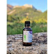 Organic Essential Oil - Spike Lavender