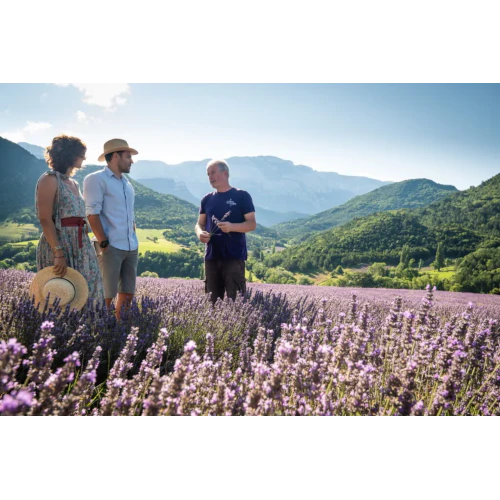 Organic Essential Oil - Fine Lavender