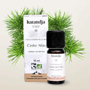 Organic Essential Oil - Atlas Cedar