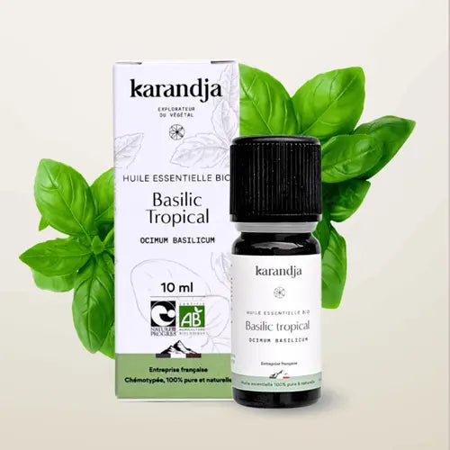 Organic Essential Oil - Exotic Basil