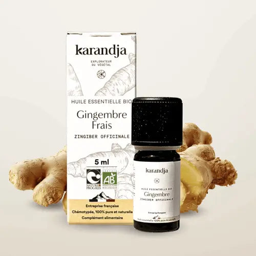 Organic Essential Oil - Ginger