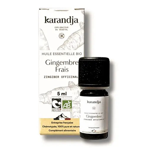 Organic Essential Oil - Ginger