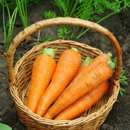 LaPeNu Organics