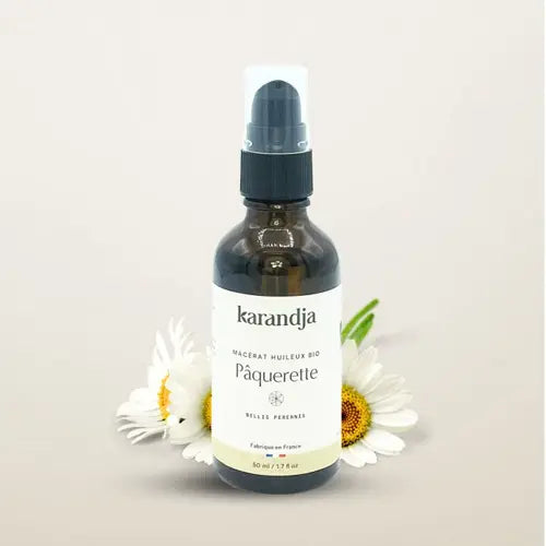 Organic Oil Macerate - Daisy Flowers