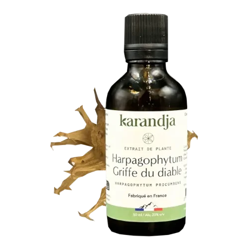 Organic Plant Extract - Harpagophytum