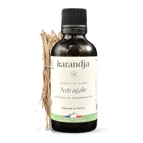 Organic Plant Extract - Astragalus