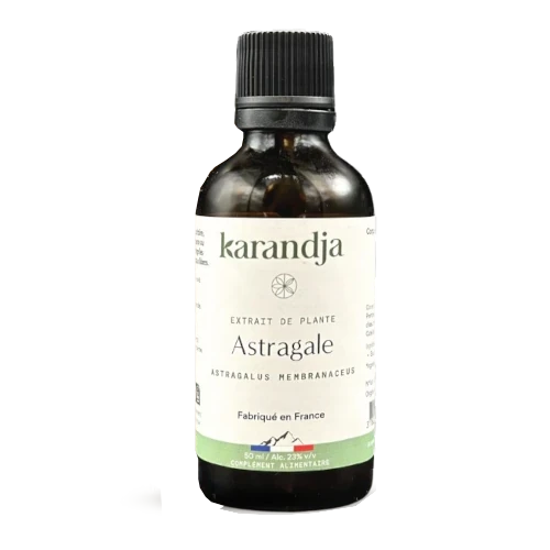 Organic Plant Extract - Astragalus