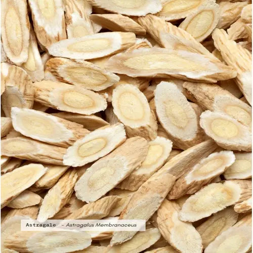 Organic Plant Extract - Astragalus
