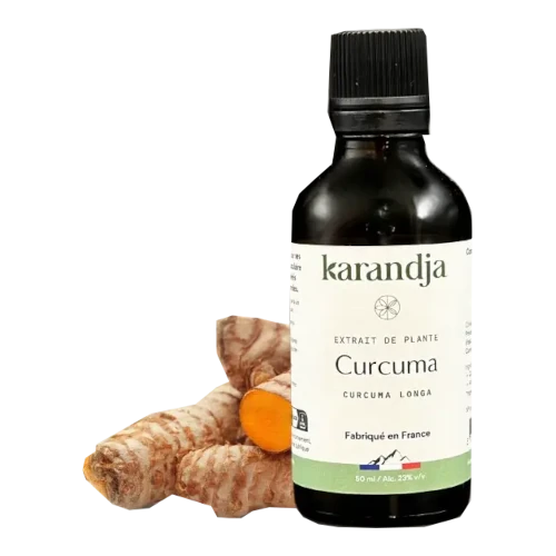 Organic Plant Extract - Turmeric