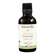 Organic Plant Extract - Turmeric