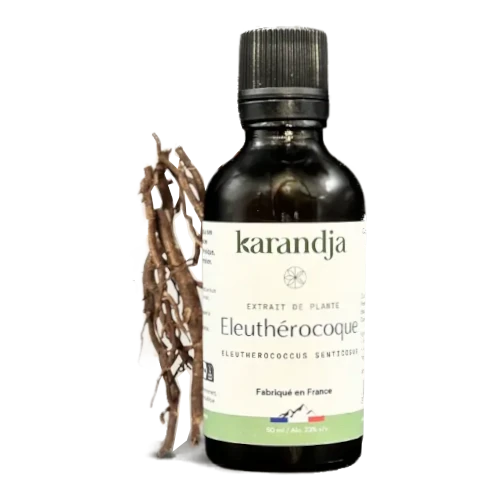 Organic Plant Extract - Eleutherococcus