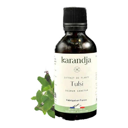 Organic Plant Extract - Tulsi
