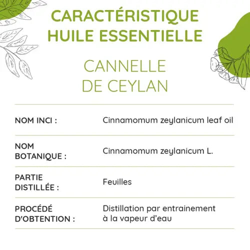 Organic Essential Oil - Ceylon Cinnamon (Leaves)