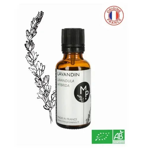 Organic Essential Oil - Lavandin Grosso