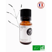 Organic Essential Oil - Spike Lavender