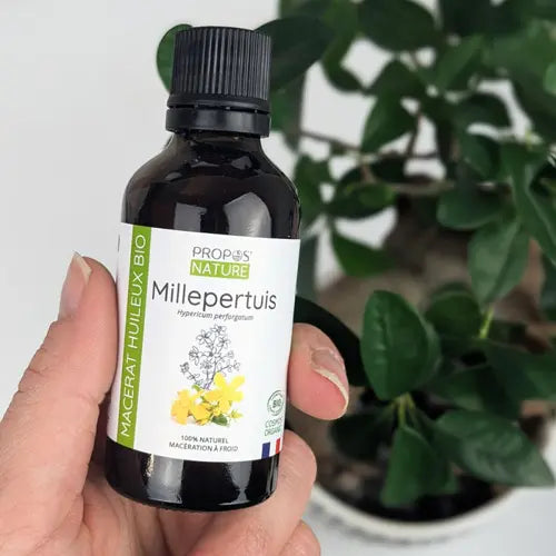 Organic Oil Macerate - St. John's Wort