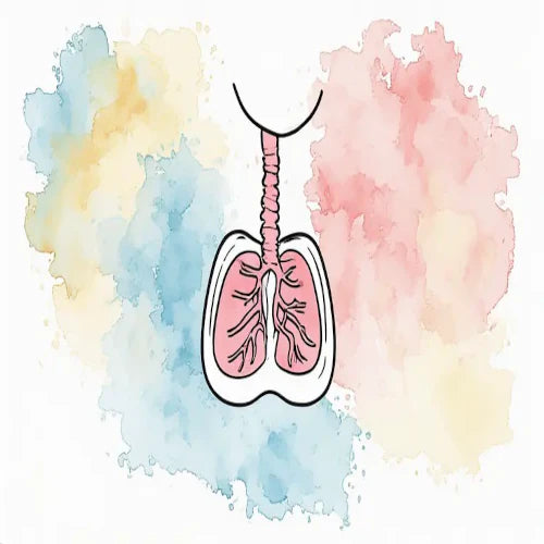 Respiratory health & cold relief, cough & congestion support, lung & airway care, natural plant-based remedies. Certified organic | Lapenu