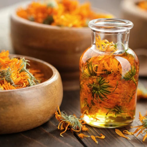 Organic Oil Macerate - Calendula