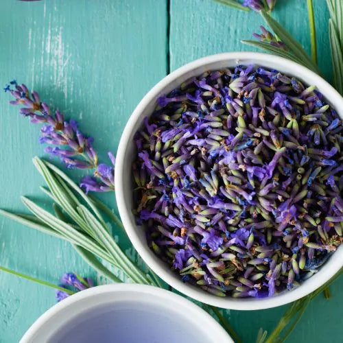 Fresh lavandin flowers in a bowl – organic aromatherapy, relaxing and purifying | LaPeNu
