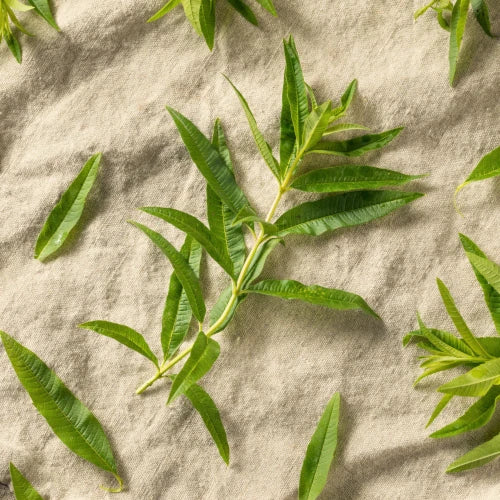 LaPeNu Organics