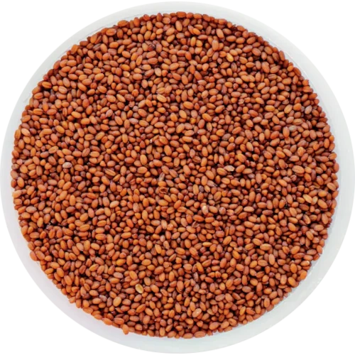 Organic Vegetable Oil - Camelina (Virgin)
