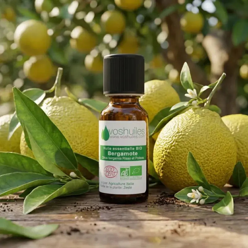Organic bergamot essential oil Citrus bergamia cold-pressed citrus zest Ecocert & AB certified organic | LaPeNu