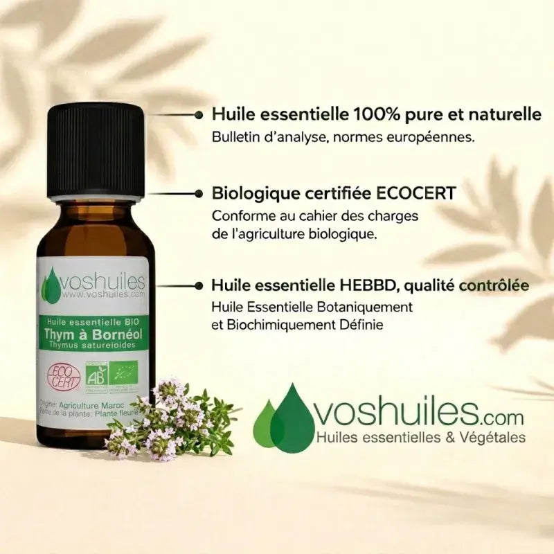 Organic Borneol Thyme EO – 100% pure, ECOCERT certified, HEBBD/HECT labeled, chemotyped, batch-analyzed | LaPeNu