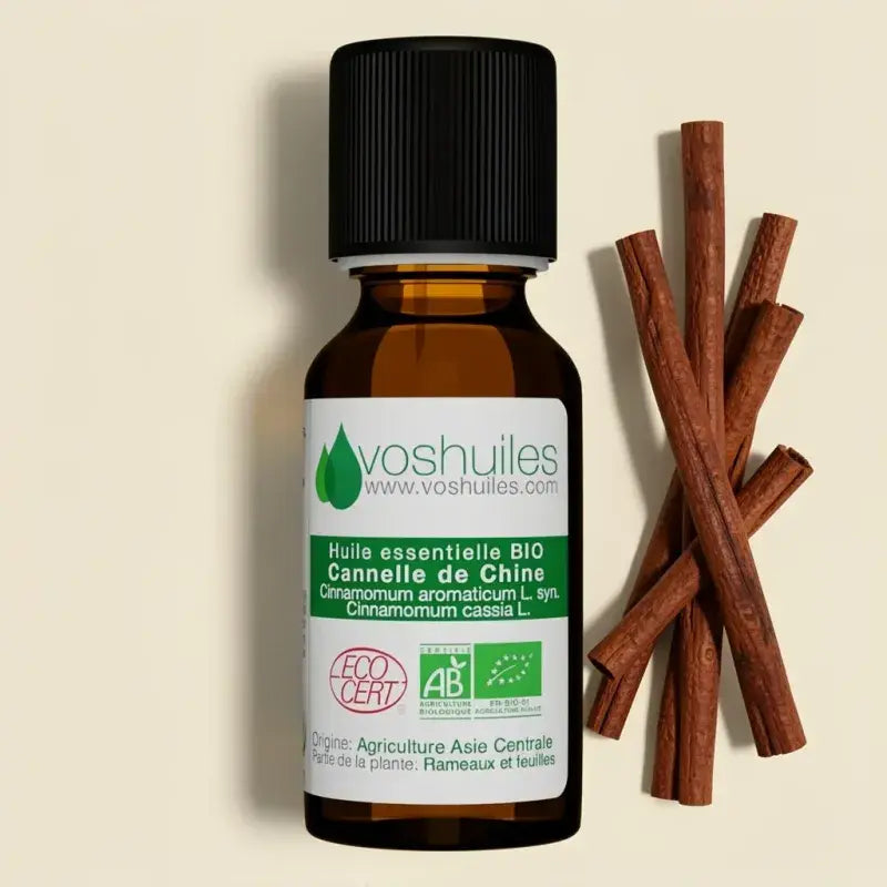Organic Cassia Essential Oil – antibacterial, antifungal, warming. ECOCERT certified, therapy-grade. Cinnamomum cassia | LaPeNu