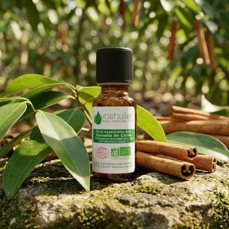 Organic Chinese Cinnamon Essential Oil – purifying, energizing, antiseptic. Steam-distilled from twigs & leaves | LaPeNu