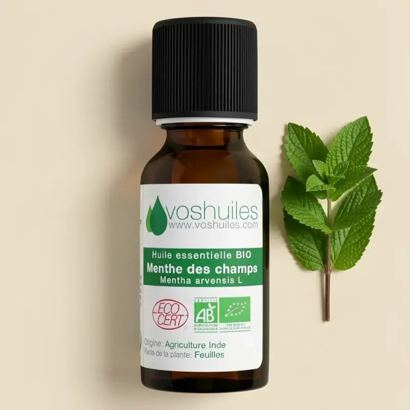 Organic Cornmint essential oil – intensely fresh, high natural menthol. Antibacterial, decongestant, food-grade. | LaPeNu